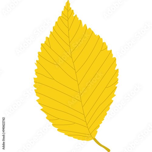 Colorful Autumn Leaves. Vector Flat Icon