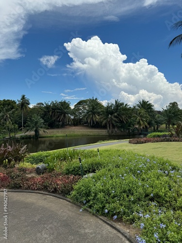 garden and trees