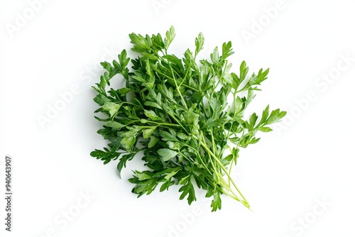 A bunch of fresh green parsley on a white background.