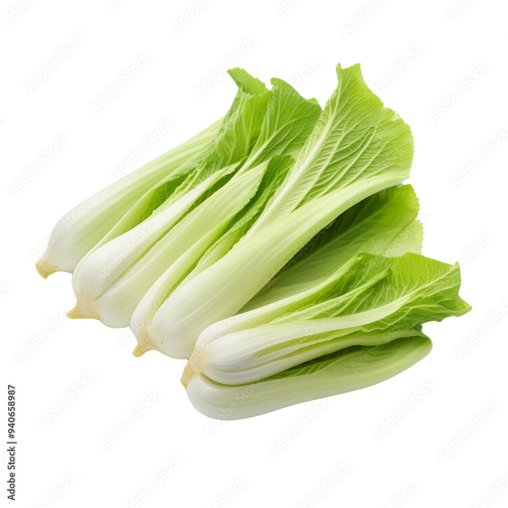 Fresh green romaine lettuce, perfect for salads and healthy dishes. Vibrant and crisp, ideal for culinary use. PNG Fresh green romaine lettuce, perfect for salads and healthy dishes. Vibrant and crisp, ideal for culinary use. PNG