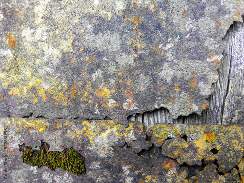 Iron sheets covered with rust and partially destroyed on a wooden board. Moss is visible through the hole photo