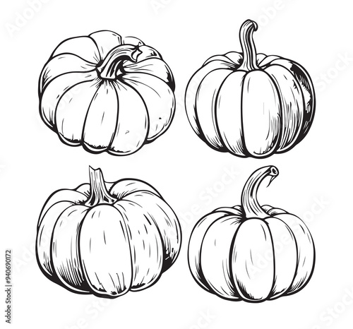 Collection of graphic hand drawn ink pumpkins for your design