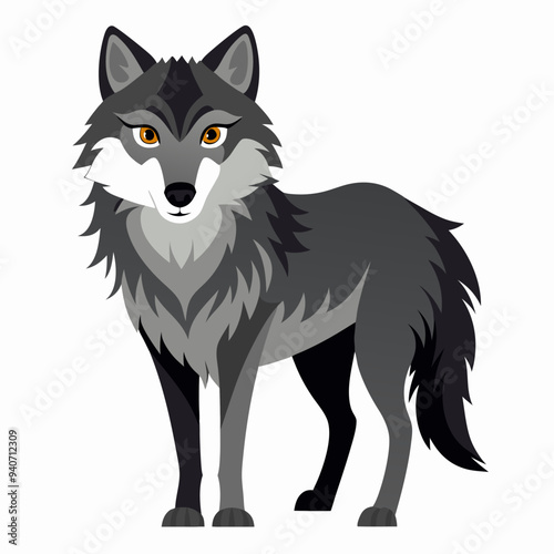 A Gray Wolf with Orange Eyes Stands on White Background