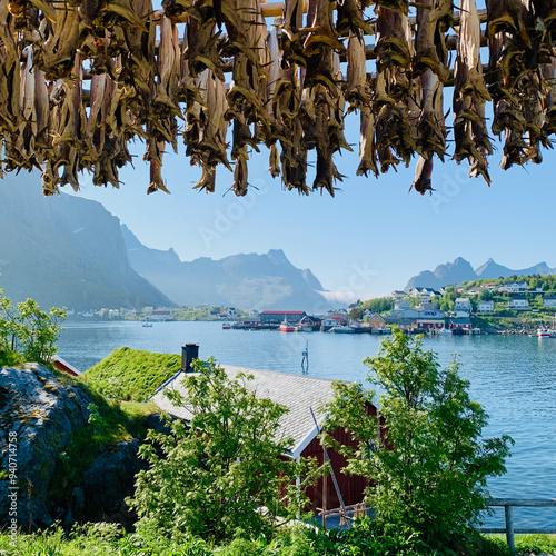 A view of Reine, a picturesque fishing village in Lofoten, Norway, framed by traditional stockfish hanging to dry.
