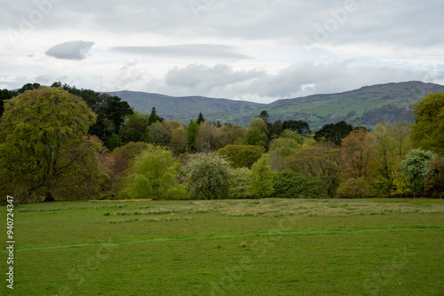 across a meadow to a multi-coloured woodland, with distant mountain