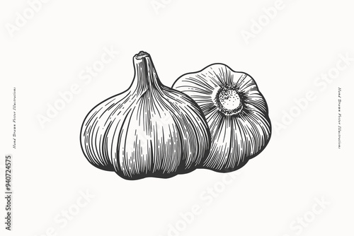 Hand-drawn black and white illustration of two garlic bulbs, one viewed from the top and the other from the side, showcasing intricate line details on a light background.