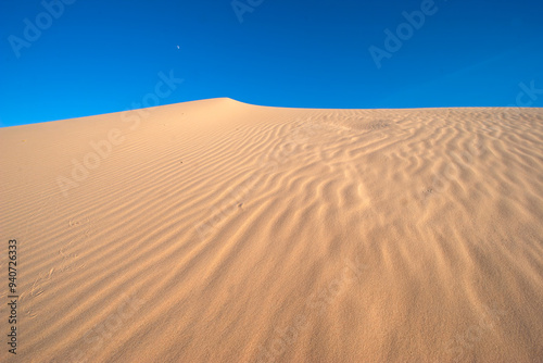 Sands of Time: Discover the intricate beauty of desert sand patterns, a natural artwork shaped by wind and time; The rhythm of shifting sands; survival in harsh environments 