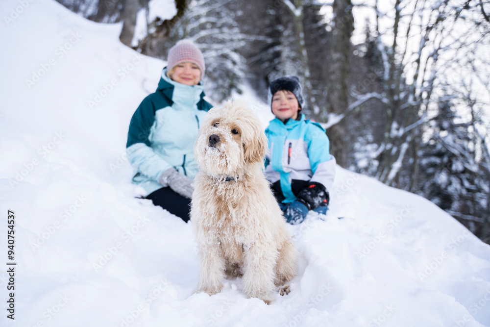 Labradoodle dog sitting on snow with mother and son in background Labradoodle dog sitting on snow with mother and son in background