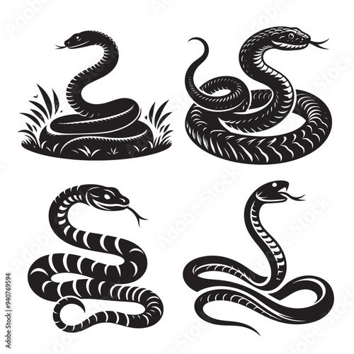 silhouette snake vector on white background