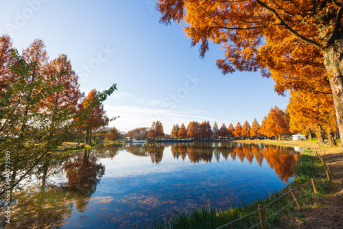 日本の風景・秋　小江戸川越　紅葉の川越水上公園