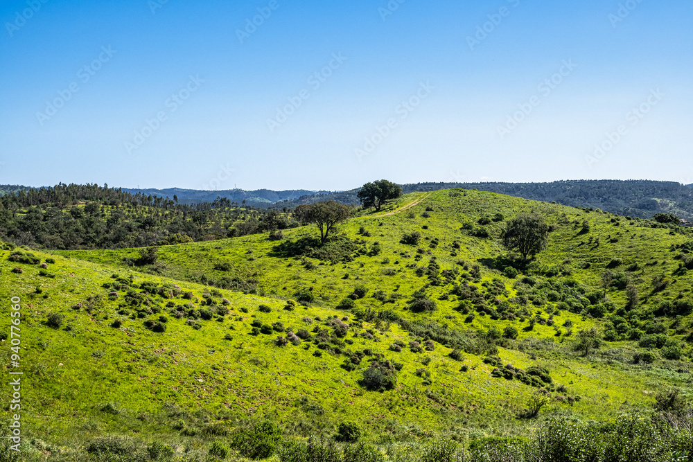 Obraz premium Walking from Troviscais to the River Mira, Vicentine Coast Natural Park Portugal, Rota Vicentina Coast.