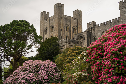 A view of Penrhyn Castle, an extensive medieval country house in Llandygai, Bangor, North Wales, in the form of a Norman castle. photo