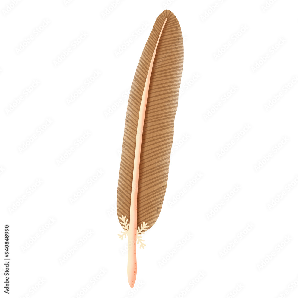 Brown feather illustration by hand drawn Brown feather illustration by hand drawn