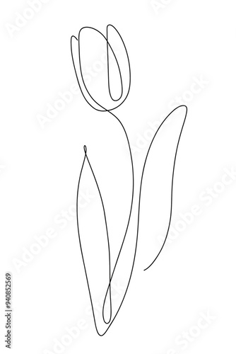 Tulip flower stylized oneline art hand drawing illustration vector graphic for print and business isolated on white background