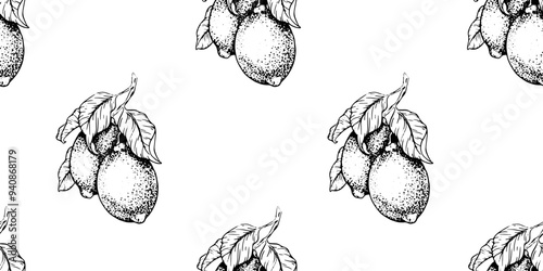 Seamless pattern of Lemon branches. Hand drawn Sketch vector illustration of Lemon fruits. Black ink outline of citrus fruit. Background for menu, package, cosmetic, textile