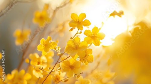  A close-up of yellow flowers with the sun shining through, behind trees