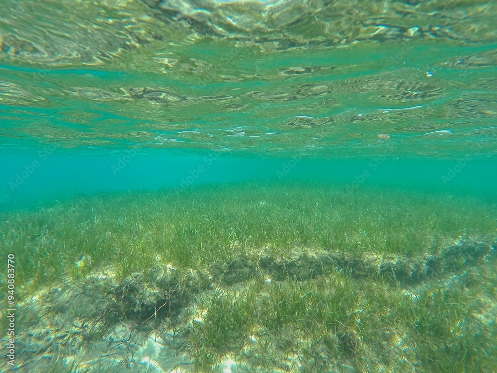 Fototapeta premium Mediterranean Sea underwater at daylight