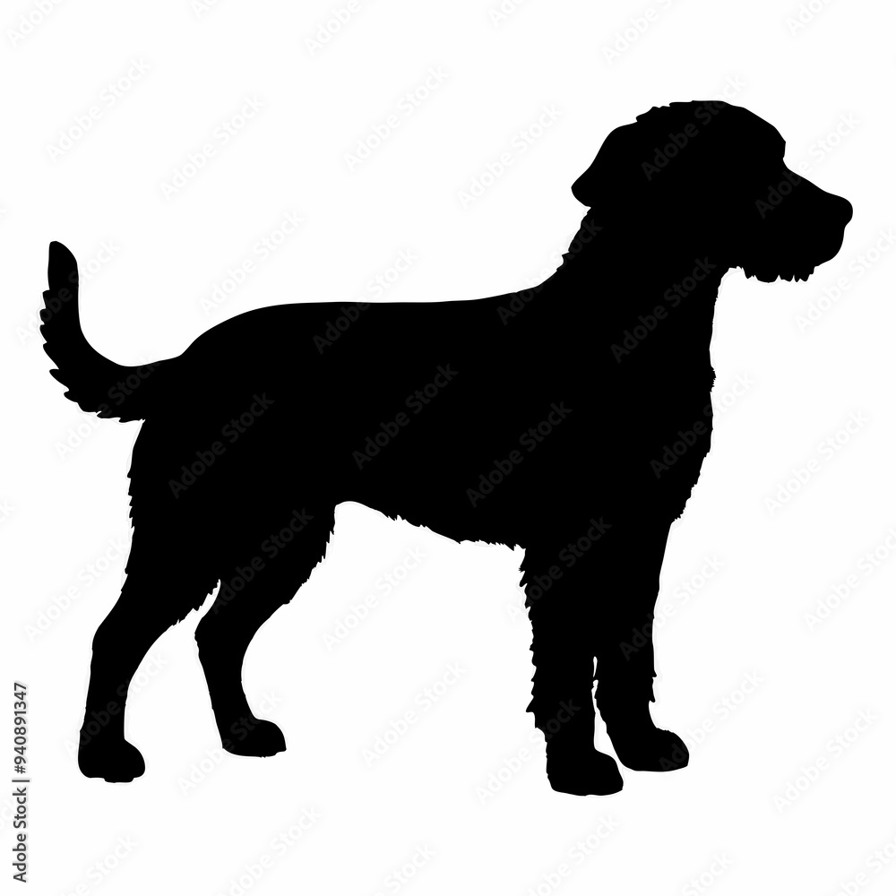 Dog Breeds Silhouette Svg Bundle, Dog Breed Svg, Dog Breeds Silhouette Svg Bundle, Dog Breed Svg,