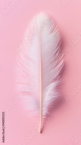 A single, beautifully detailed feather lying flat against a light solid color background, emphasizing its texture