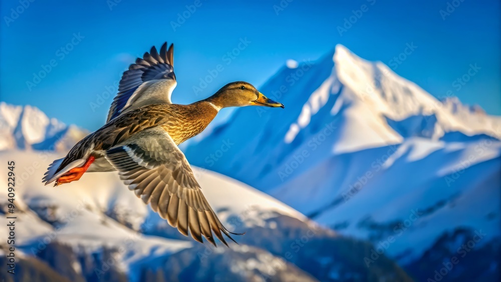 a photo image of a serene duck soaring through a clear blue sky, feathers ruffled by wind, with snow-capped mountains in the distance a photo image of a serene duck soaring through a clear blue sky, feathers ruffled by wind, with snow-capped mountains in the distance