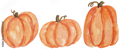 Watercolor pumpkin collection on isolated background. Autumn, Fall, Thanksgiving hand painted illustration clip art