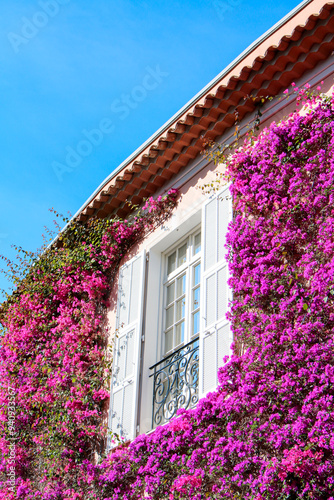 Facade of a French Riviera villa in Saint-Jean-Cap-Ferrat, covered with vibrant purple bougainvillea. White shutters and an ornate wrought iron balcony highlight the Mediterranean architectural style.