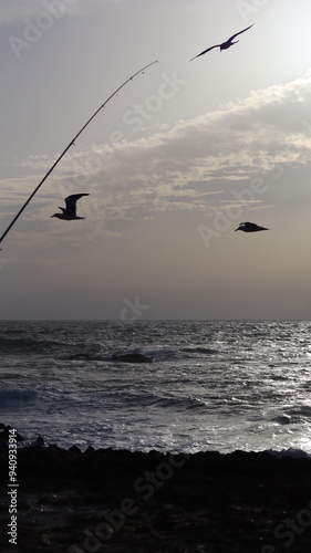 Seagulls Flocking on Rocky Shoreline at Sunset with Ocean Waves Crashing, Coastal Wildlife Birds in Flight, Group of Seagulls Gathering on Beach, Seascape at Dusk with Waves and Birds in Natural photo