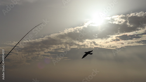 Seagulls Flocking on Rocky Shoreline at Sunset with Ocean Waves Crashing, Coastal Wildlife Birds in Flight, Group of Seagulls Gathering on Beach, Seascape at Dusk with Waves and Birds in Natural photo