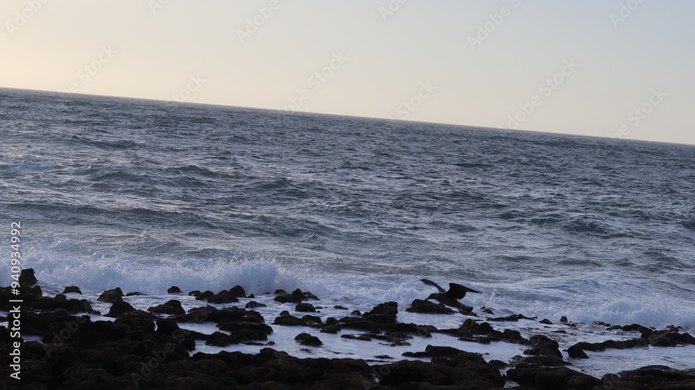 Seagulls Flocking on Rocky Shoreline at Sunset with Ocean Waves Crashing, Coastal Wildlife Birds in Flight, Group of Seagulls Gathering on Beach, Seascape at Dusk with Waves and Birds in Natural Seagulls Flocking on Rocky Shoreline at Sunset with Ocean Waves Crashing, Coastal Wildlife Birds in Flight, Group of Seagulls Gathering on Beach, Seascape at Dusk with Waves and Birds in Natural