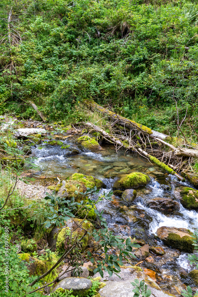 Mountain river in the Koscieliska Valley in the Tatra Mountains in Poland Mountain river in the Koscieliska Valley in the Tatra Mountains in Poland