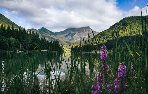 Lake in the mountains