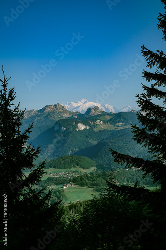 Mont Blanc view with trees