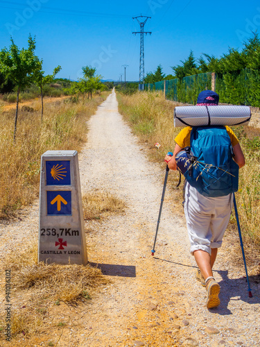 Wallpaper Mural A pilgrim walking along a rural road on the Camino de Santiago, passing by a milestone with the Yellow Scallop Shell and Yellow Arrow symbols, indicating 258.7 km remaining to Santiago de Compostela. Torontodigital.ca