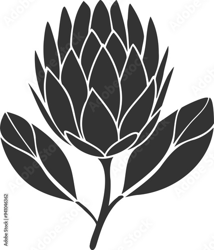 Protea flower silhouette black stylized drawing PNG