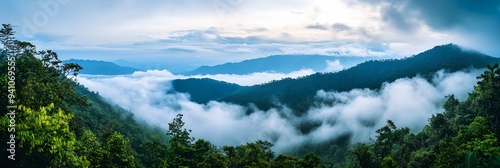 Amazing wild nature view of layer of mountain forest landscape with cloudy sky. Natural green scenery of cloud and mountain slopes background. Maehongson,Thailand. Panorama view