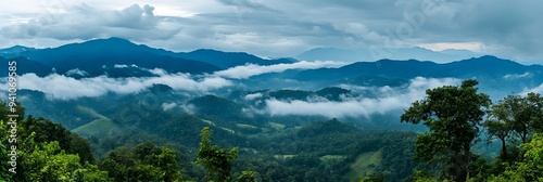 Amazing wild nature view of layer of mountain forest landscape with cloudy sky. Natural green scenery of cloud and mountain slopes background. Maehongson,Thailand. Panorama view