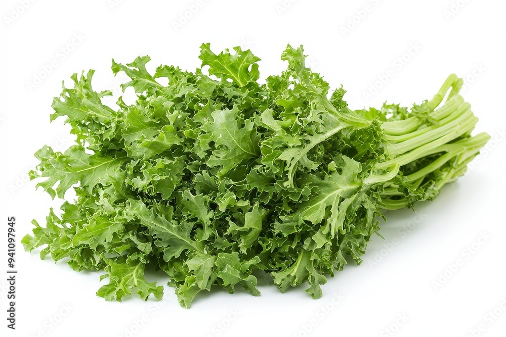 A bunch of fresh, green kale with curly leaves, ideal for salads and healthy dishes. A bunch of fresh, green kale with curly leaves, ideal for salads and healthy dishes.