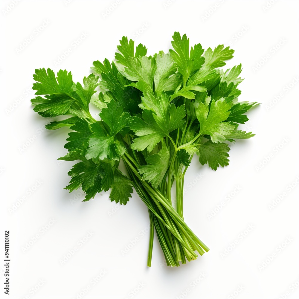 Fresh green parsley leaves on white background, healthy eating concept, herb in recipes. Fresh green parsley leaves on white background, healthy eating concept, herb in recipes.