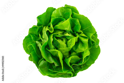 Canvastavla Grüner Salat und Hintergrund transparent PNG cut out  Kopfsalat  Lettuce