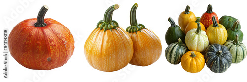 Vibrant assorted squash varieties isolated on transparent background, featuring colorful gourds perfect for autumn decorations, cooking, and healthy seasonal recipes