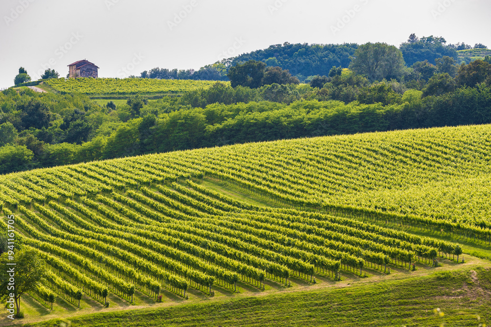 Vineyards