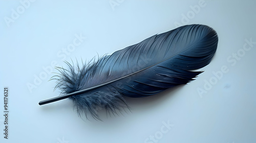 Single Dark Blue Feather on White Background Illustration