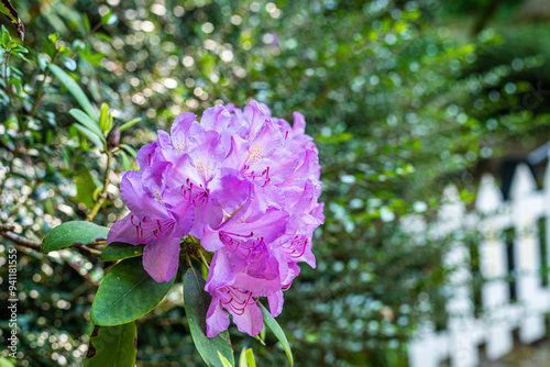 Nature
