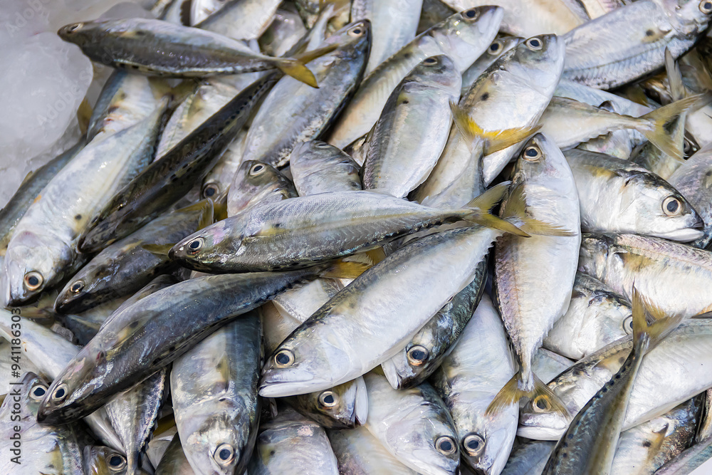 Fresh mackerel large quantities in fishery market, ready for sale to customers. Fresh mackerel large quantities in fishery market, ready for sale to customers.