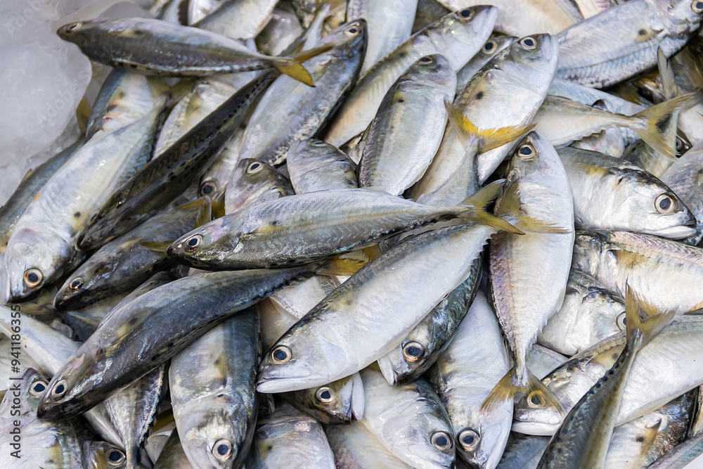 Fresh mackerel large quantities in fishery market, ready for sale to customers. Fresh mackerel large quantities in fishery market, ready for sale to customers.