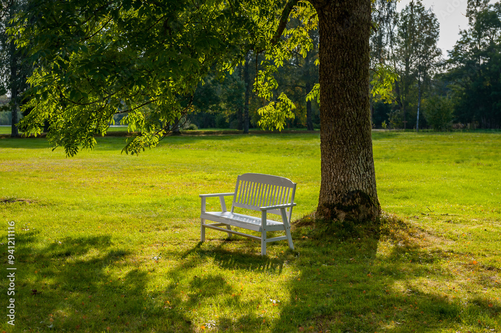 White bench under a tree in the autumn time. The soft evening sun illuminates the foliage. White bench under a tree in the autumn time. The soft evening sun illuminates the foliage.