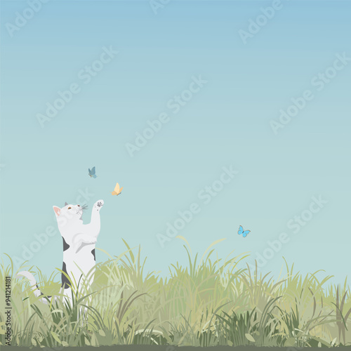 Grass field landscape with a cat playing with butterfly and blue sky square background graphic illustration have blank space.