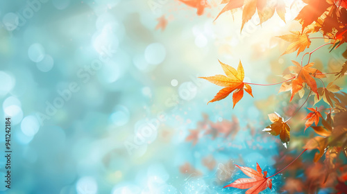 Fototapeta Naklejka Na Ścianę i Meble -  Autumn leafs on light blue background