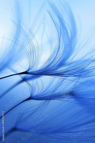 Dandelion seeds silhouette against vivid blue sky with delicate bokeh, highlighting wispy details