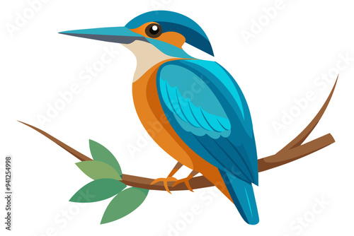 eautiful kingfisher sitting on the single branch vector art illustration photo